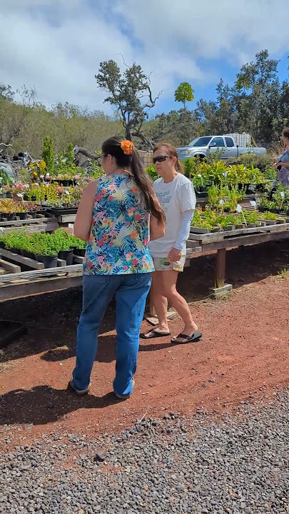 Visiting K's Greenhouse in Ocean View on the Big Island of Hawaii
