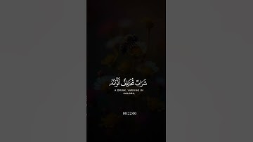 سبحان الله 🤍🥺 #قرآن_كريم #تلاوات_خاشعة #أرح_سمعك_وقلبك #راحه_نفسيه #اكسبلور