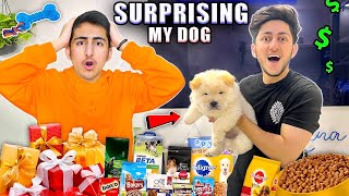 Surprising My Cute Dog With Gifts | As Gaming
