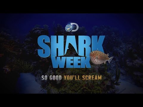Shark Week 2019 - Așa bun că vei țipa