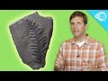 Carbon-14 Dating: Unlocking The Secrets Of Ancient Life
