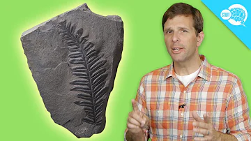 Does carbon dating work on living things?
