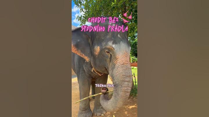 Tak kdo se chystá do Thajska? 🇹🇭😁🏝️ #cestovani #travel #levnecestovani #dovolena #thajsko