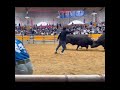 2024秋場所　横綱戦　瑞宝　vs 森田煌龍