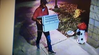 В ПРИЮТ ПОДКИНУЛИ СТРАННОГО ЛОХМАТОГО ЗВЕРЯ, НО ПОСЛЕ СТРИЖКИ ОН ПРЕВРАТИЛСЯ В КРАСИВЕЙШЕЕ ЖИВОТНОЕ! В ПРИЮТ ПОДКИНУЛИ СТРАННОГО ЛОХМАТОГО ЗВЕРЯ, НО ПОСЛЕ СТРИЖКИ ОН ПРЕВРАТИЛСЯ В КРАСИВЕЙШЕЕ ЖИВОТНОЕ!