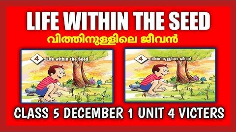 Victers Class 5 Basic Science| Malayalam Medium and English Medium|victers channel class 5|scert