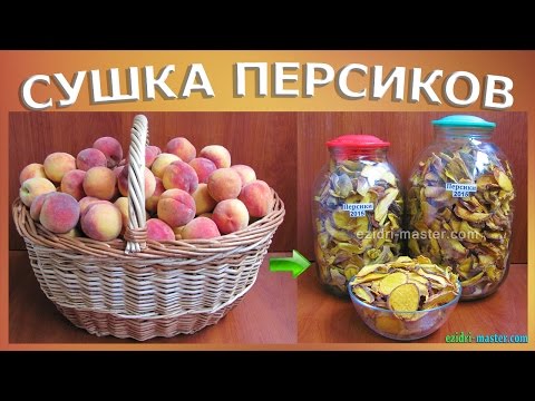 Сушка персиков — 10 кг.