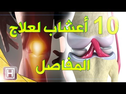 فيديو: معلومات إزالة Knapweed - كيفية التخلص من Knapweed