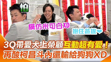 陳柏惟帶愛犬上榮顧互動爆萌！講狗知識竟曝「台灣狗跟白色恐怖台灣人一樣都會做1事」刻在DNA裡！ 再酸：講狗的斗內都比講黃國昌、柯文哲多…根本人不如狗XD｜【立院榮譽顧問】三立新聞網 SETN.com