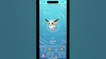 CAUGHT SHINY EEVEE SPECIAL RESEARCH #pokemon #pokemongo #shiny #lucky