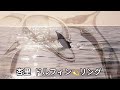 杏里 ドルフィン・リング (歌詞入り)