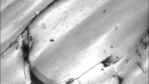 Martensitic domains Ni-Mn-Ga