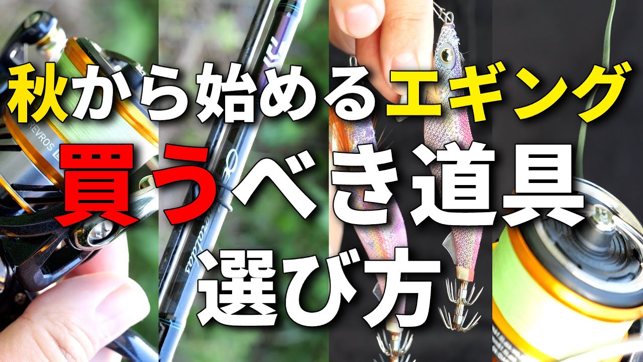 残り1組早い者勝ち　人気　ヨーヅリ　秋イカ　新子イカ　エギ　3.0号　20本 エギング】秋イカエギング 新子調査 #秋イカシーズン開幕#eging