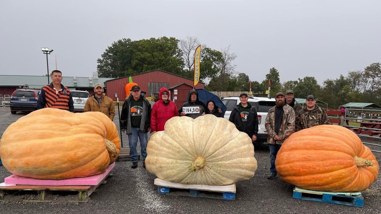 🎃World biggest pumpkin Travis Gienger 🎃
