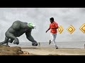 Temple Run Blazing Sands In Real Life