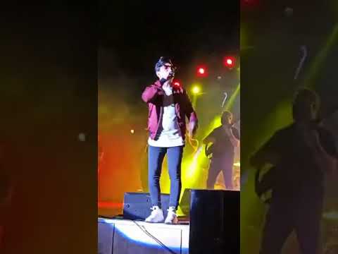 محسن ابراهیم زاده علاقه محسوس کنسرت 