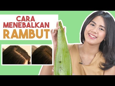 Begini Ternyata 4 Cara Ampuh Menebalkan Rambut