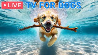 Dog MusicFastPrevent Boredom & Anxiety with Movies for DogsDog Sleep Music