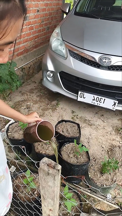 Our afternoon activities are not in the kitchen, guys. #catfish