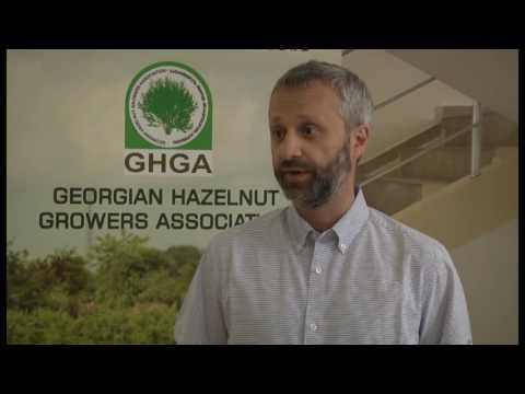 თხილის ფერმერებისთვის ტრენინგი ჩატარდა