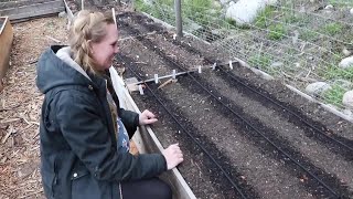 How to Install an Automatic Watering System for a Raised Bed Garden
All our gardening videos: https://www.youtube.com/watch?v=RvsfzXWat9c&list=PLp1Rm233y0B8Wsu0gq0RGHXY3zG-V-DDA
Good book for new gardeners: https://amzn.to/2V6dYRI
Click “Show More” for more favorite gardening products!
Seed-starting trays & domes: https://amzn.to/2Tboq9t
Seed-starting cells: https://amzn.to/2FhVJUI
LED grow lights: https://amzn.to/2u8CGWl
Seed heating mats: https://amzn.to/2CmNd4W
2 foot wide, 5-tier metal shelving unit: https://amzn.to/2HBxF0j
Disposable plant markers: https://amzn.to/2F4sq6r
Organic fertilizer: https://amzn.to/2HFNXWh
Seed starting mix: https://amzn.to/2ubJB0R
Soil thermometer: https://amzn.to/2PzIbqW
Soil testing kit: https://amzn.to/2IM21yD
Alyssa’s gardening hat: https://amzn.to/2ozb2PF
Alyssa’s gardening boots: http://amzn.to/2yn4tCt
Pruning scissors to thin seedlings: https://amzn.to/2PNwPPM
Good book for new gardeners: https://amzn.to/2V6dYRI
WHO WE ARE
In 2015 we quit our lives in the city to buy bare land in the country and build a timber frame home from scratch with our bare hands, debt-free, with no prior experience. It’s been a wild ride of ups, downs, highs, lows, rain and rainbows, but we haven’t lost sight of our goals and have gotten further in three years than we thought we’d get in ten. Join us as we build our house, develop our rural property, practice traditional skills such as gardening and food preservation and go to even greater heights (literally) of exploring the world through aviation as a new private pilot!
VIDEOS YOU MAY ENJOY
Young couple builds their own dream home: http://bit.ly/2zvq9yp
The big reveal of our house plans: http://bit.ly/2OpTPm1
The big timber frame raising: http://bit.ly/2F5Xrua
The day we got our sawmill: http://bit.ly/2P9AQS1
How we made $1,000 in one day milling lumber: http://bit.ly/2P8Muwm
Why we built a hot tub before a house: http://bit.ly/2Ff605I
We drilled a well & you’ll never believe what happened: https://amzn.to/2PzIbqW
POPULAR PLAYLISTS
Chronological order: http://bit.ly/2kGUf8E
House build from beginning: http://bit.ly/2SRTQCX
Foundation of home: http://bit.ly/2zuoSrr
ICF basement / garage: http://bit.ly/2ztLZCn
Timber frame workshop: http://bit.ly/2OsU67E
Structural insulated panel installation: http://bit.ly/2Qr0U7X
Metal roof installation: http://bit.ly/2AOsqGQ
Building a debt-free home strategy: http://bit.ly/2RACcBX
Aviation: http://bit.ly/2RBlkuT
Gardening / food preserving: http://bit.ly/2Ff5PY6
FOLLOW US REAL-TIME ON SOCIAL MEDIA
Editing video takes time, ya’ll, and we have a house to build! For our most up-do-date progress follow us on social media.
Instagram: http://bit.ly/2D6DErZ
Facebook: http://bit.ly/2zwL2tj
ENJOY THIS VIDEO? SUPPORT US WITHOUT PAYING A DIME!
It takes us 40+ hours a week to document our journey on both our blog and our YouTube channel. If you enjoy watching our videos and want to help us to produce more of them, learn how you can help us without spending a dime! http://purelivingforlife.com/support/
SOME FAVORITE TOOLS & GEAR
Jesse’s pocket knife: https://amzn.to/2zuur9g
Jesse’s pocket flash light: https://amzn.to/2KUVsYT
Favorite LED portable cordless work light: https://amzn.to/2Qhd3Qt
Favorite no-spill fuel pump: https://amzn.to/2Dq95OV
Favorite BBQ sauce: https://amzn.to/2PEZlGa
Jesse’s work shoes: https://amzn.to/2qwF0Vk
Jesse’s work jacket: https://amzn.to/2E0OMYF
Jesse’s casual jacket: https://amzn.to/2BB8kjM
Jesse’s waterproof / insulated boots: https://amzn.to/2FIzyJs
Alyssa’s pocket knife: https://amzn.to/2PG9wdt
Alyssa’s work boots: https://amzn.to/2qwF4V4
Alyssa’s work leggings: https://amzn.to/2qOnSdR
Alyssa’s work overalls: https://amzn.to/2ADtrA8
Alyssa’s fleece-lined work pants: https://amzn.to/2PWv5Hz
Alyssa’s thermal top: https://amzn.to/2KAgdce
Alyssa’s thermal bottoms: https://amzn.to/2zvQaOS
Alyssa’s messy bun beanie: https://amzn.to/2QtFSp5
Alyssa’s scarf (matches messy bun beanie): https://amzn.to/2QR9S1E
Alyssa’s waterproof / insulated boots: https://amzn.to/2DZIisN
Favorite book on timber framing for beginners: https://amzn.to/2yR0xg0
#gardening #gardeningtips #gardeningchannel How to Install an Automatic Watering System for a Raised Bed Garden