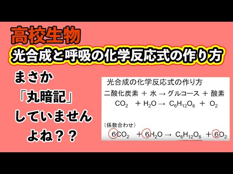 高校生物「光合成と呼吸の化学反応式の作り方」