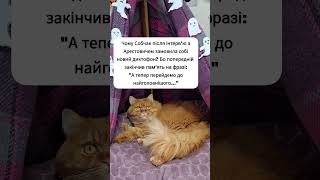 Інтерв'ю #арестович #собчак #жартиукраїнською #жартиукраїнською #прикол #політика #президент #війна