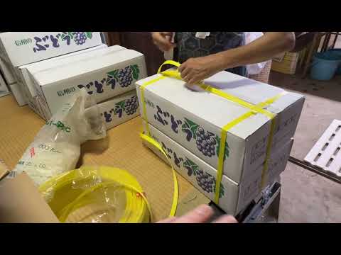Japan premium grapes. I harvest, pack and deliver with a farmer and explain the business. Part 2/3.