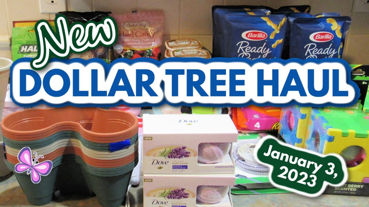 New DOLLAR TREE HAUL! York Pennsylvania Stores! January 3, 2023 