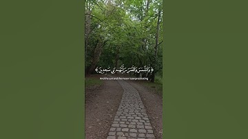 آيات من سورة يوسف بصوت جميل تخشع له القلوب، القرآن دواء للهموم، #quran #اكسبلور #qurantranslation