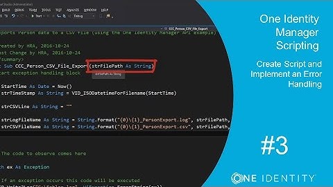 One Identity Manager | Scripting #3 | The API - Implement an Error Handling