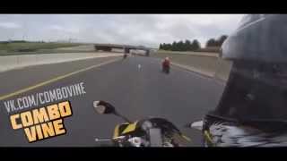 Combo Vine 59