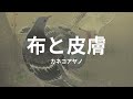 布と皮膚: カネコアヤノ nuno to hifu: ayano kaneko (lyrics english translation)