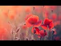 Relaxing Sleep Music: Deep Meditation Music, Stress Relief, "Inner Peace" By Tim Janis