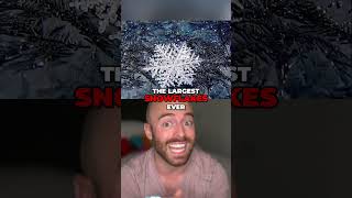 Disneys Explosives Secret & Giant Snowflakes!