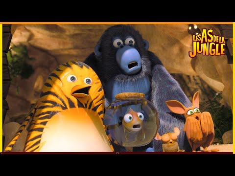 Le Combat Des As Les Chefs De La Jungle 