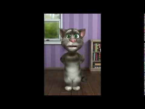 Enes Alper - M4A1 Talking Tom Versiyonu