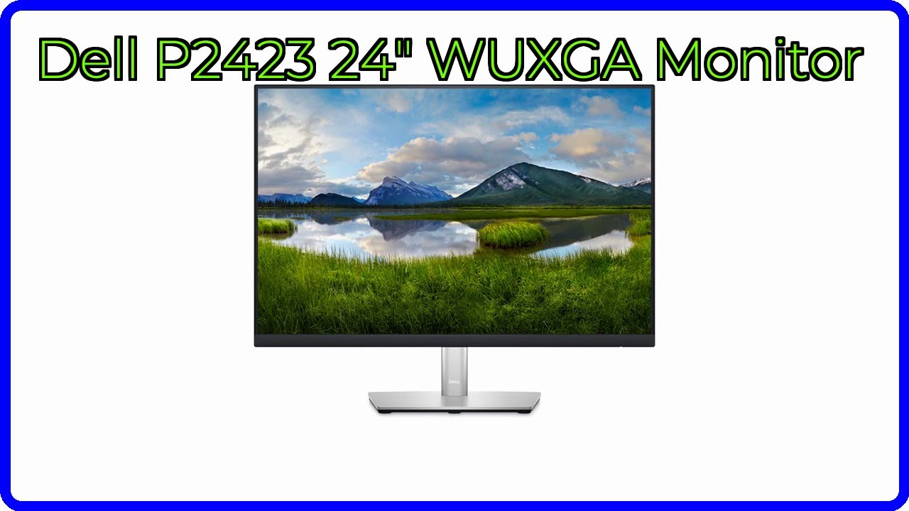 REVIEW (2026): Dell P2423 24