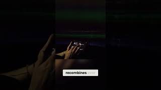 Revolutionary 3D Data Browser Transforming Museum Visits