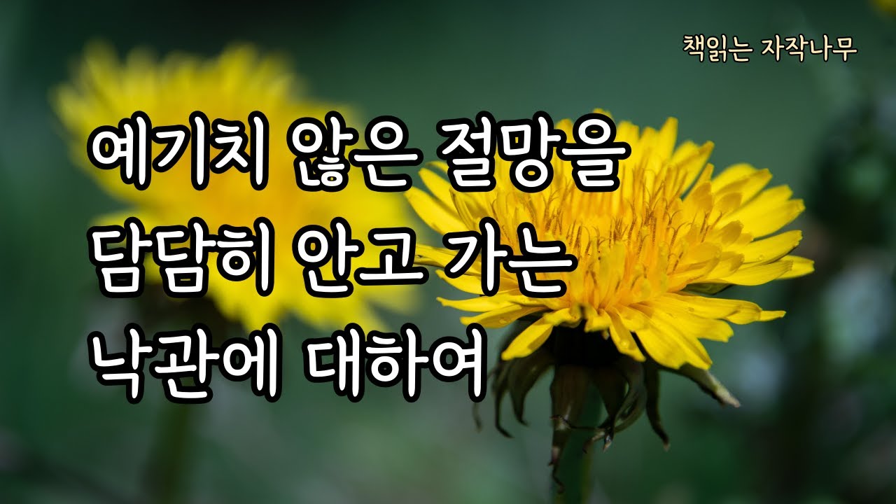 어느 누구도 상처받지 않은 채 오늘을 살아낼 수는 없다 [상실의 기쁨]