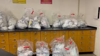 UMD Vlog | Coming back to school to have in-person lab, feelin like an official Food Scientist