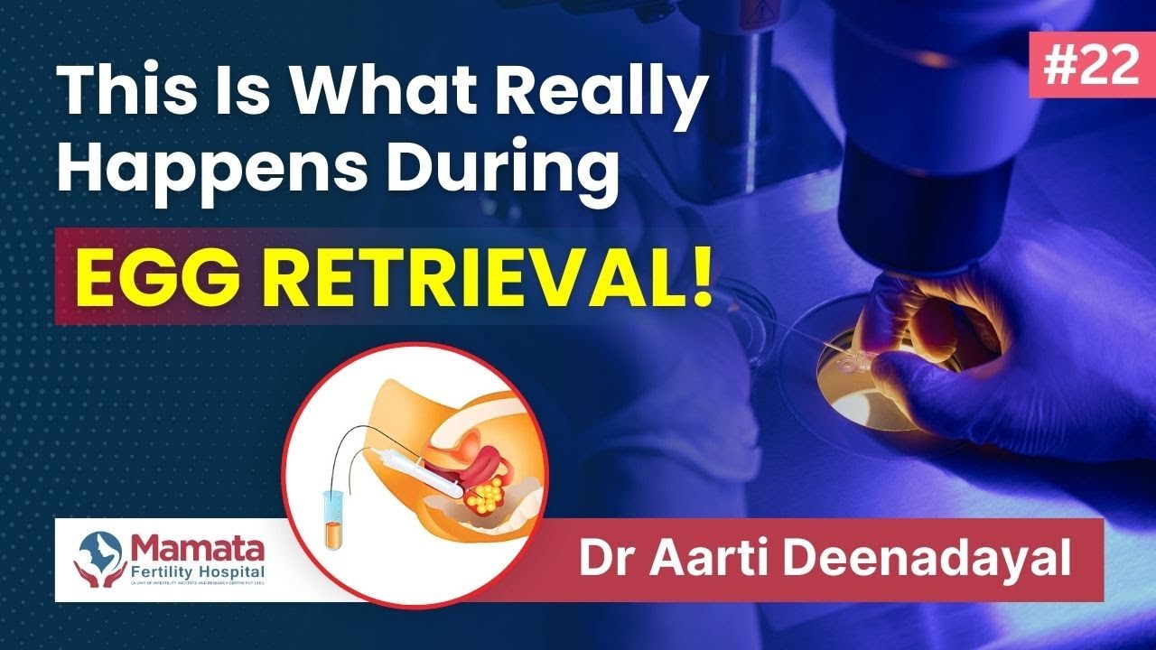 Behind the Scenes of Egg Retrieval: An IVF Essential Explained! | Mamata Fertility Hospital