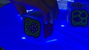 REACTABLE @ BIORHYTHM