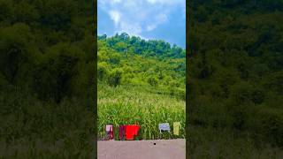 natural beauty short video youtobe earning money #earnmoneyonline