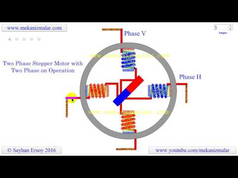 two phase stepper motor with two phase on operation