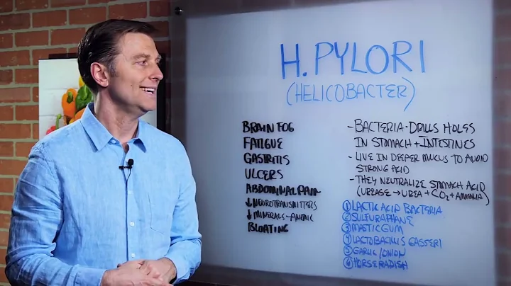 6 Natural Remedies of Helicobacter Pylori – Dr. Berg on H. Pylori