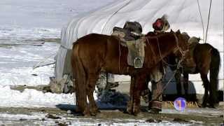 THE KAZAKHS FROM MONGOLIA: BIRDS OF PREY HUNTERS