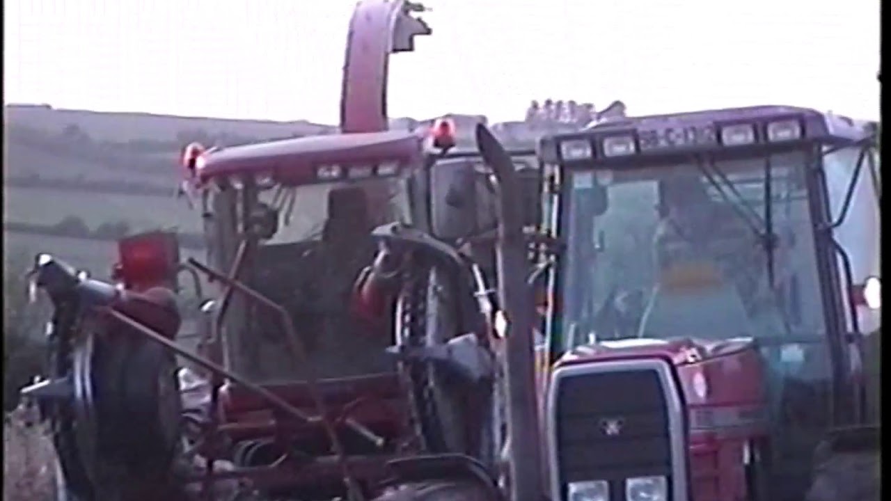 Case IH cutting maize