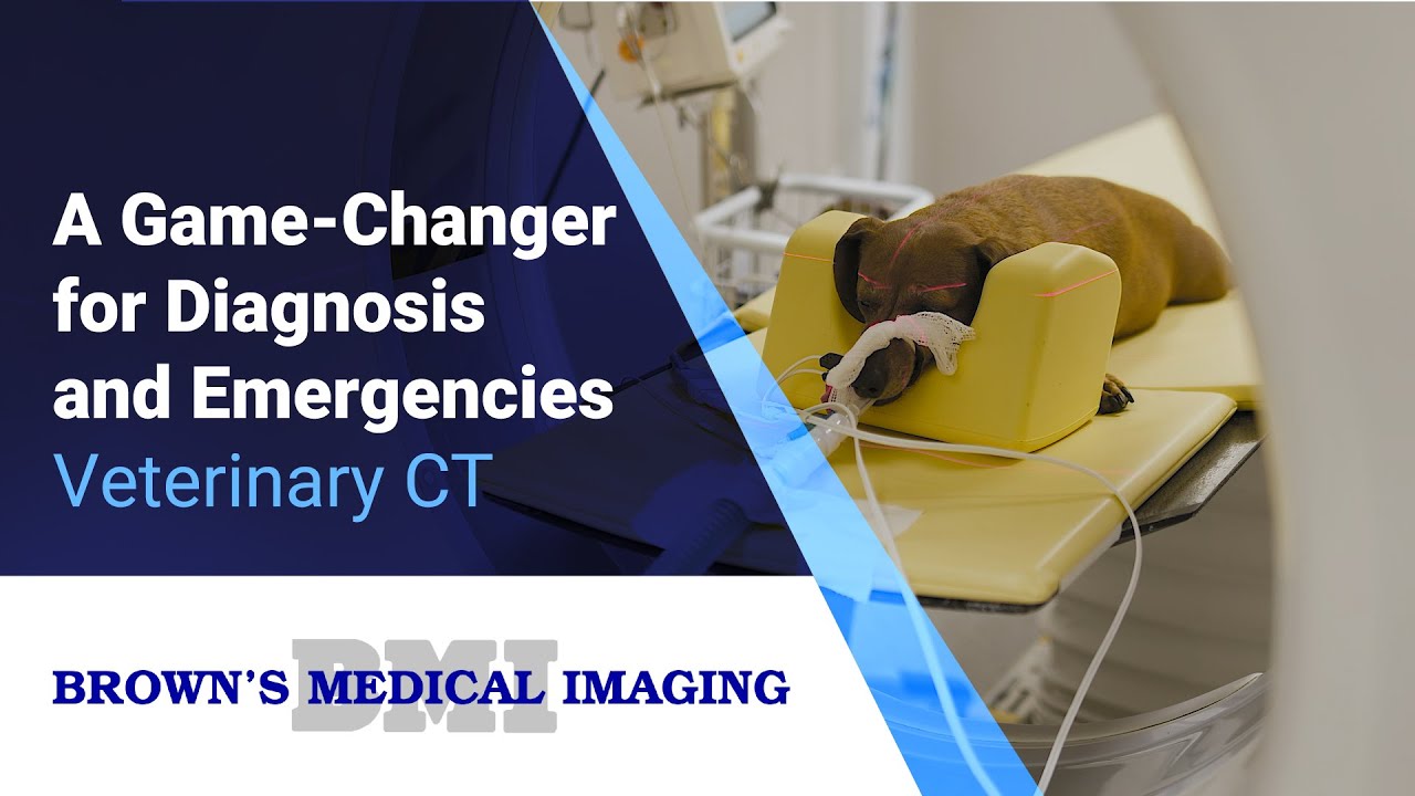 CT Veterinary Center A GameChanger for Diagnosis and Emergencies
