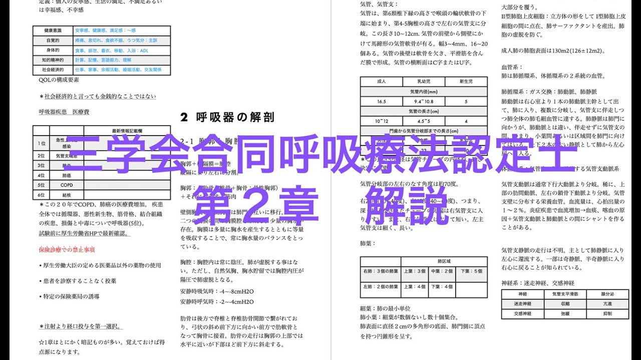 三学会合同呼吸療法認定士 第二章呼吸器の解剖 2 Youtube